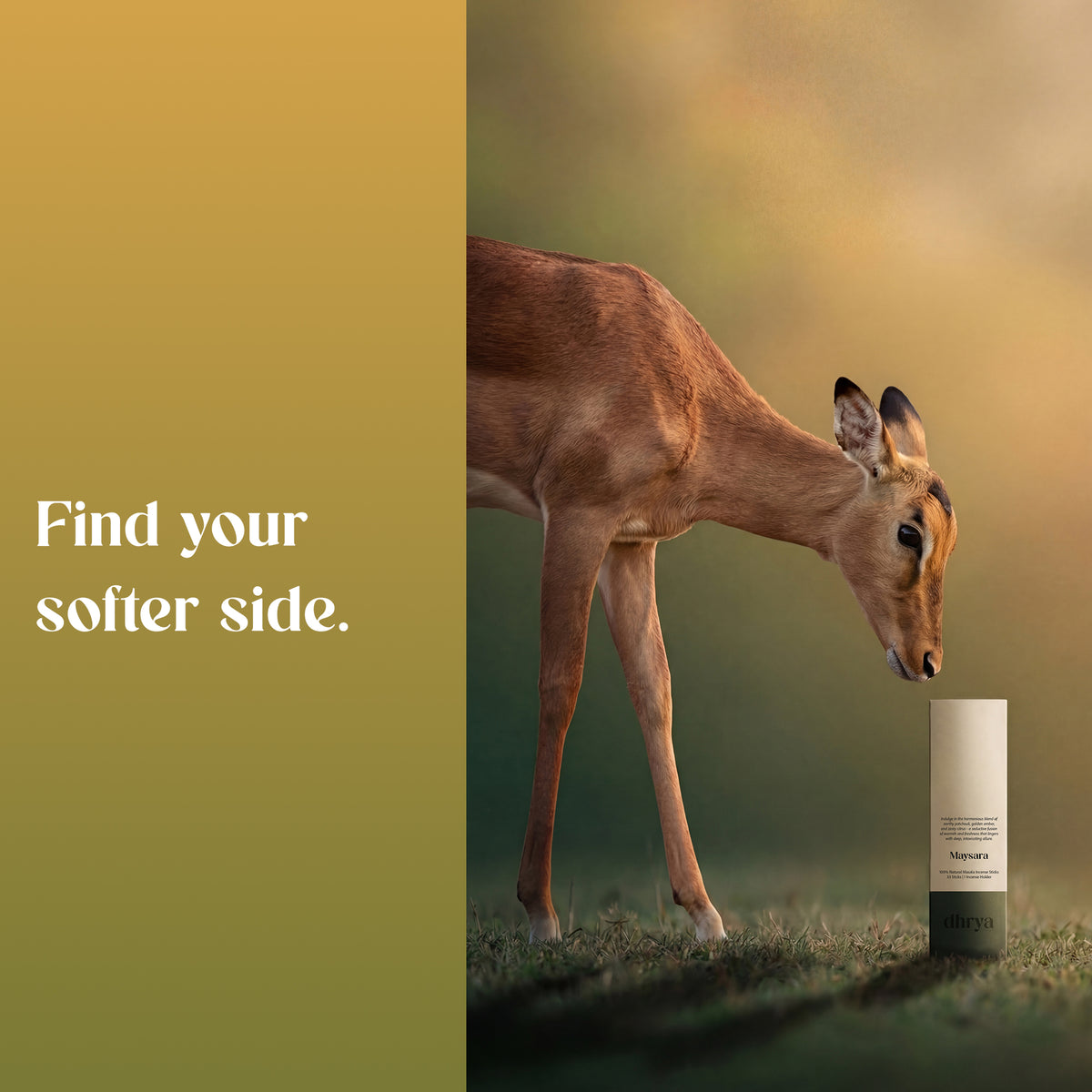Deer grazing beside a Maysara incense box: "Find your softer side"