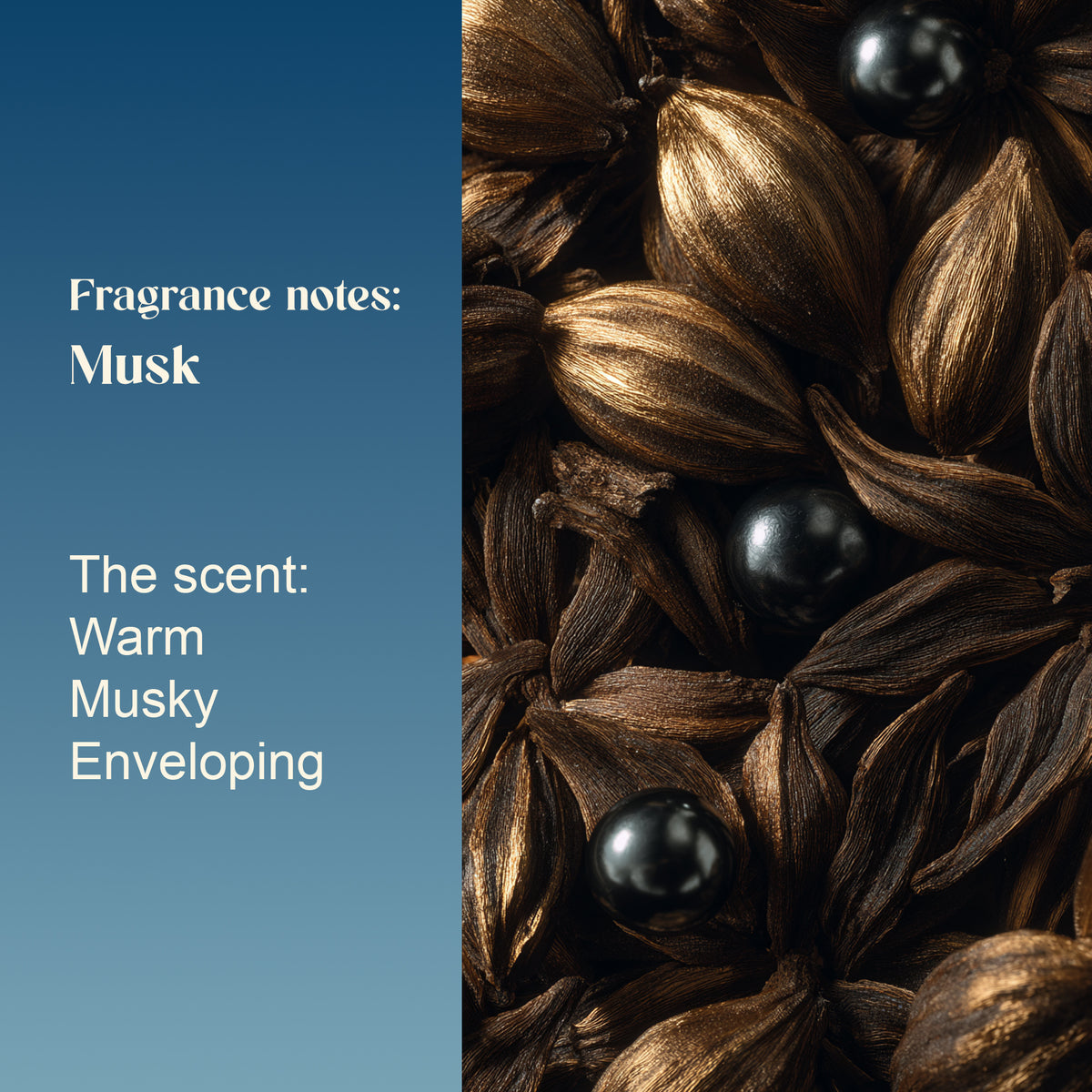 Royal Musk fragrance notes: musk. Warm, musky and enveloping, shown with dark botanicals