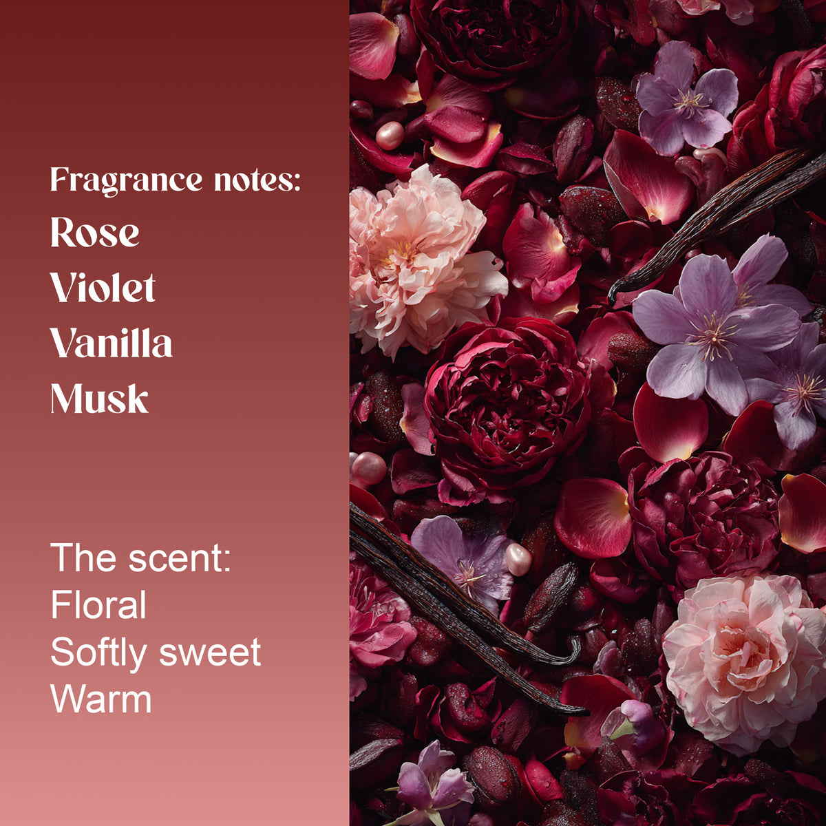 Amira Rose fragrance notes: rose, violet, vanilla and musk. Floral, softly sweet and warm, shown with roses, violets and vanilla pods