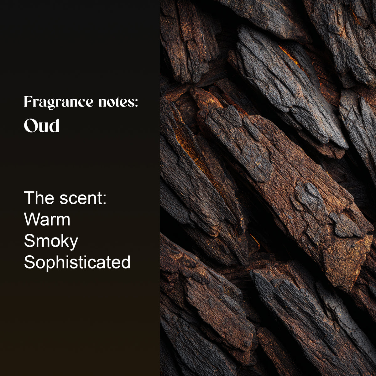 Black Oud fragrance notes: oud. Warm, smoky and sophisticated, shown with dark oud wood chips