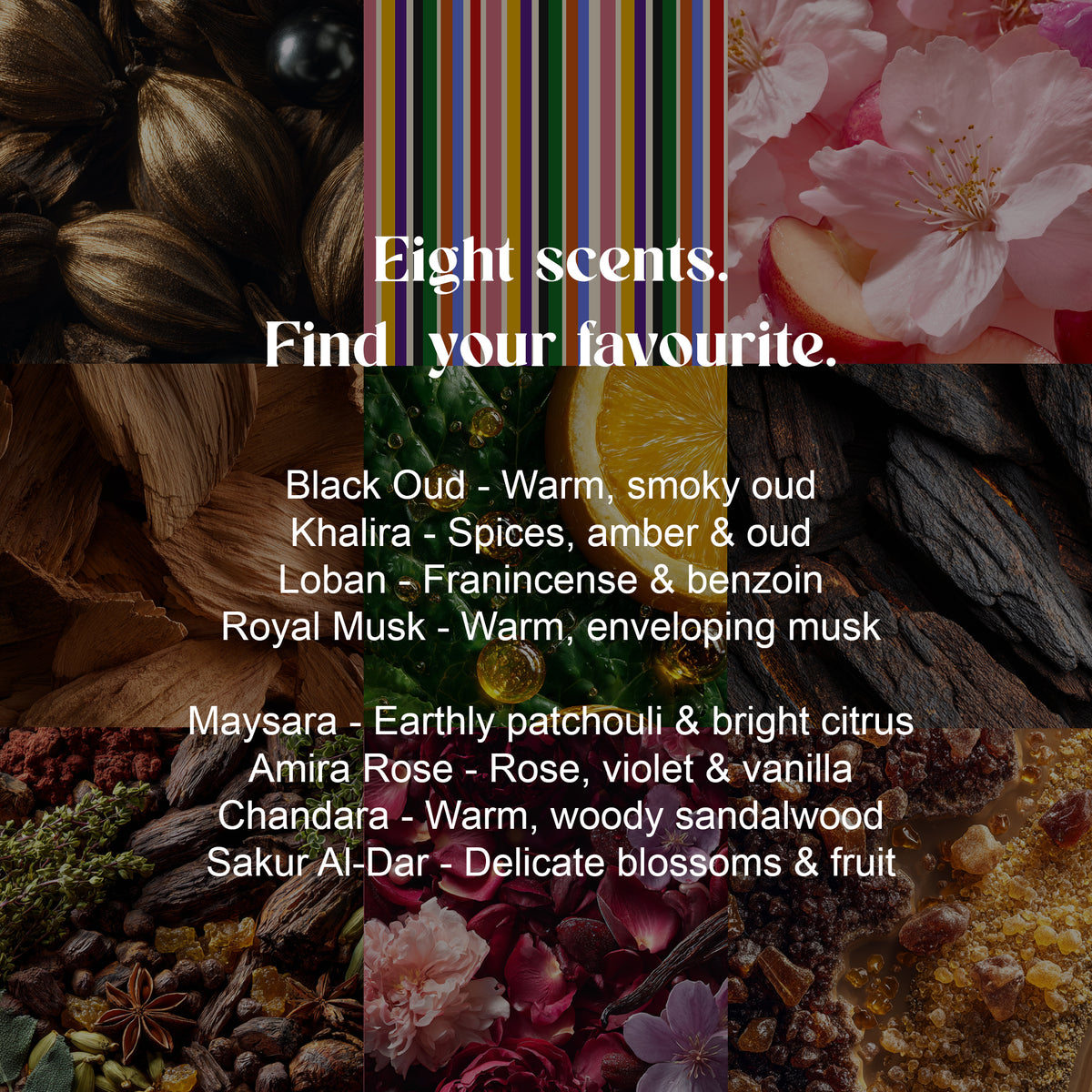 Eight scents, find your favourite: Black Oud, Khalira, Loban, Royal Musk, Maysara, Amira Rose, Chandara and Sakura Al-Dar with their notes