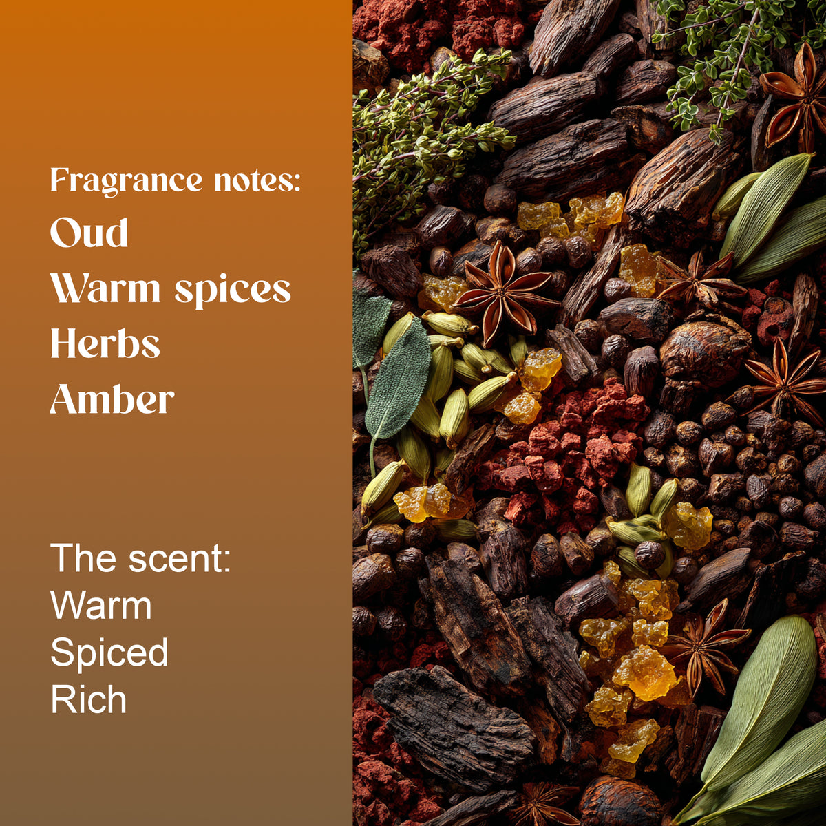 Khalira fragrance notes: oud, warm spices, herbs and amber. Warm, spiced and rich, shown with whole spices and herbs