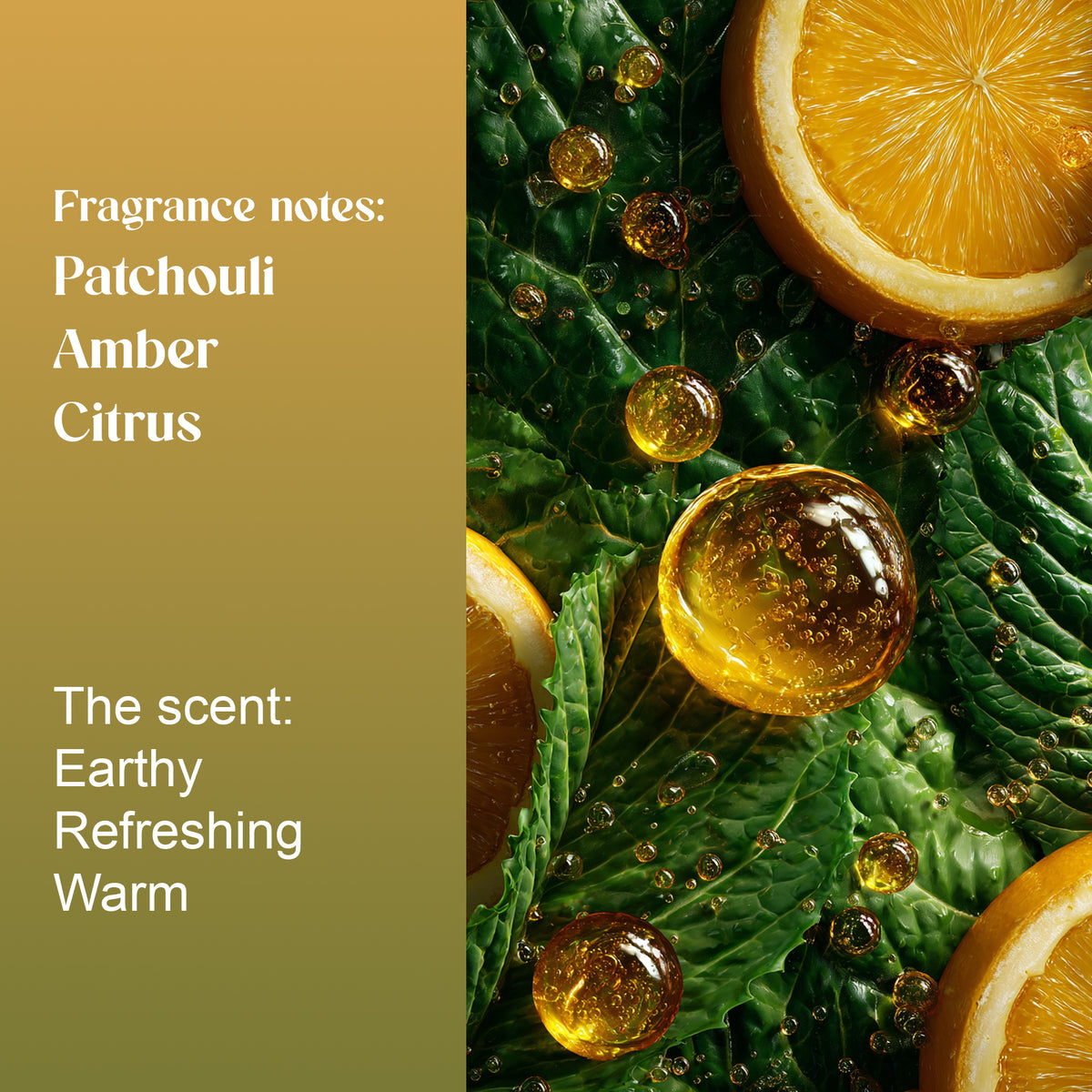 Maysara fragrance notes: patchouli, amber and citrus. Earthy, refreshing and warm, shown with oranges and green leaves
